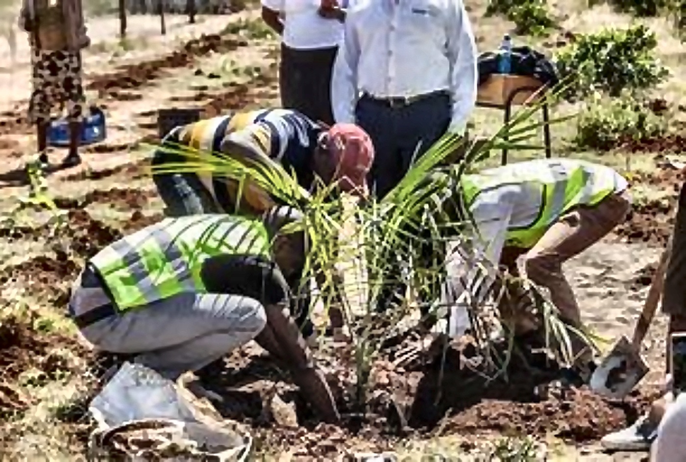 Volunteers and community members restoring a shared green space together